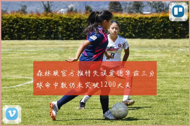 森林狼官方推特失误爱德华兹三分球命中数仍未突破1200大关